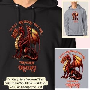 dragon hoodie1